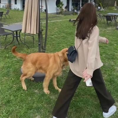 青春，我们不一样